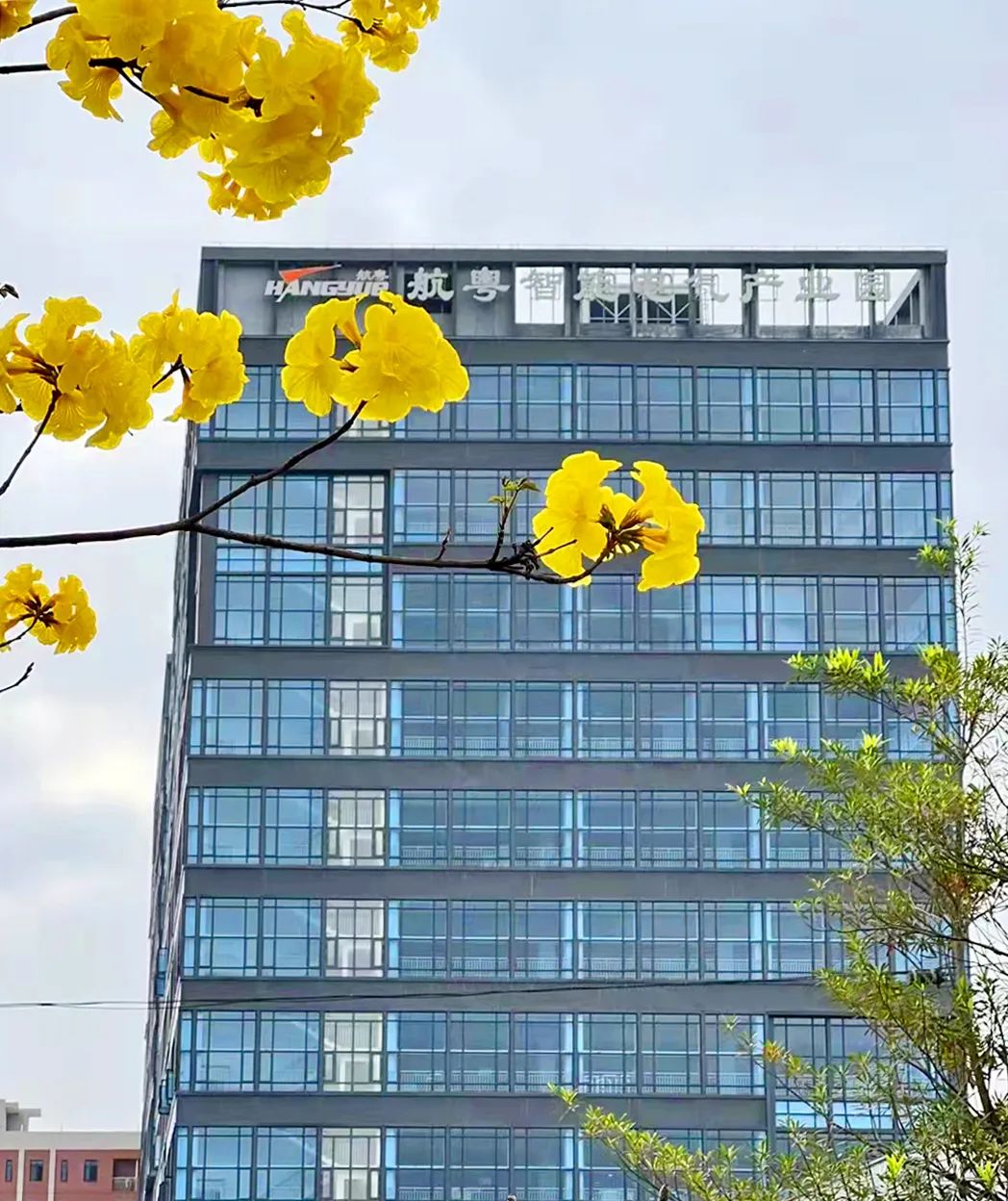 珠海市工商聯專職副主席張光暖一行走訪航粵富山智能配電產業園